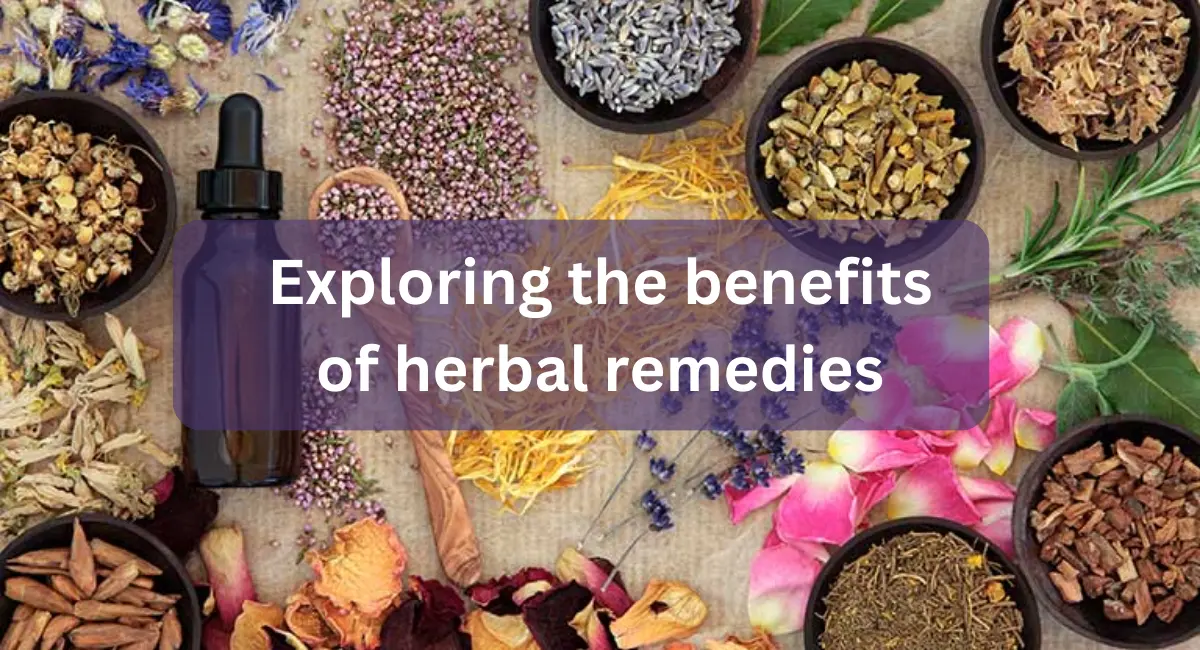 Exploring the benefits of herbal remedies